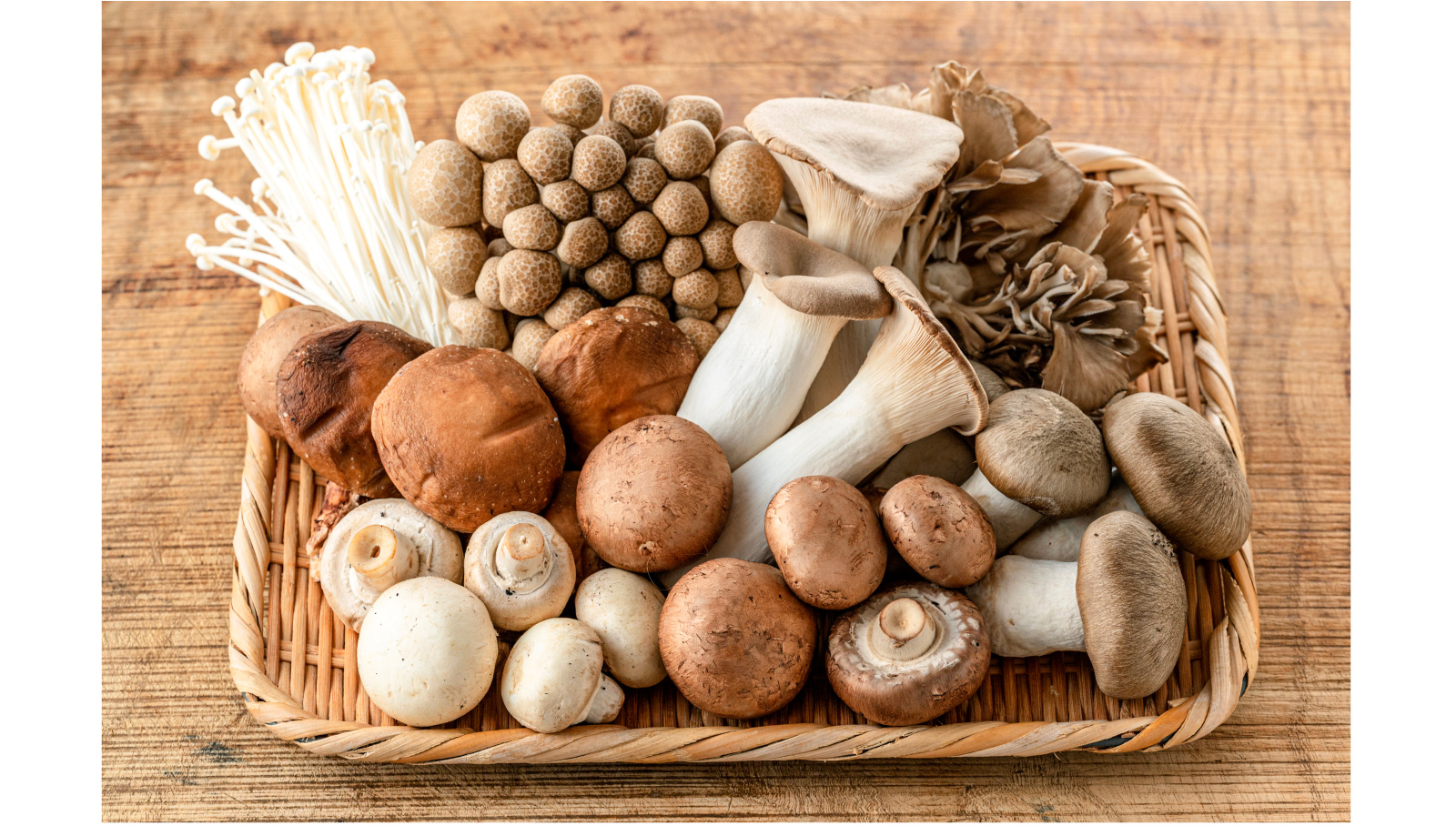 商品名を入れて下さい