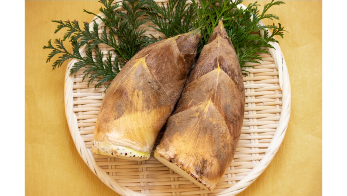 筍（たけのこ）